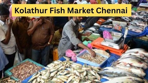 Kolathur Fish Market Chennai
