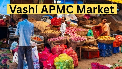 Vashi APMC Market: History, Shops, Nearby Places & Transport