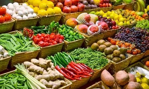 Is Vegetable Business Profitable in India?