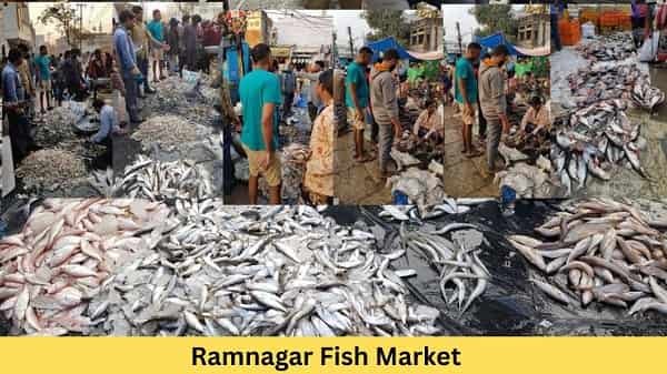 Ramnagar Fish Market