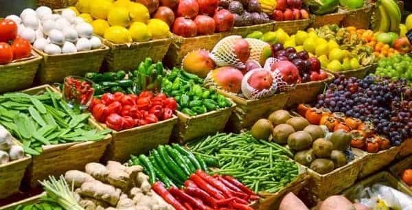 Vegetable Business