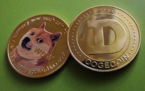 Is Dogecoin (DOGE) a Good Investment?