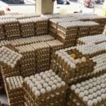 Egg Business