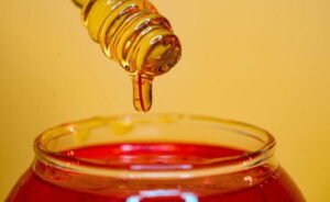 Is Honey Business Profitable in India?