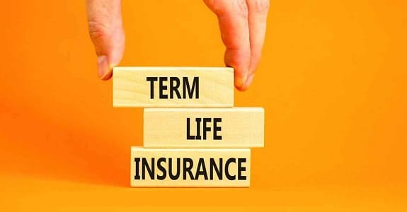Why a 1 Crore Term Life Insurance Plan Is Popular Among Young Earners 